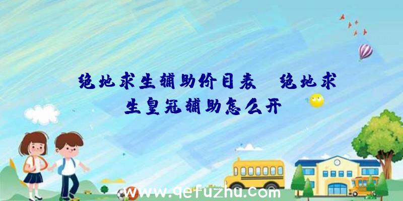 「绝地求生辅助价目表」|绝地求生皇冠辅助怎么开